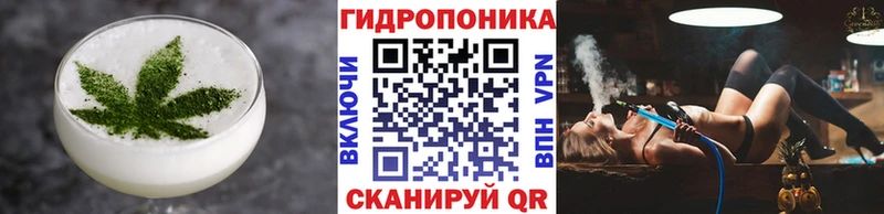 Cannafood конопля  Старая Русса 