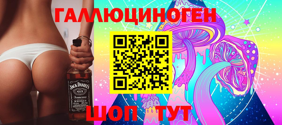 Старая Русса  Псилоцибиновые грибы Psilocybe  Вход с VPN 