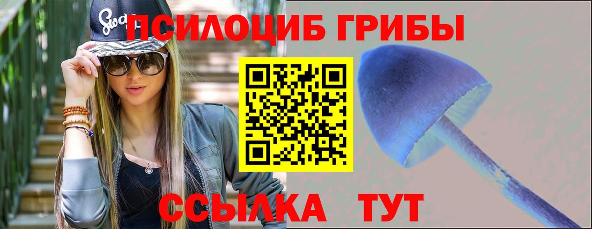 Псилоцибиновые грибы MAGIC MUSHROOMS Старая Русса