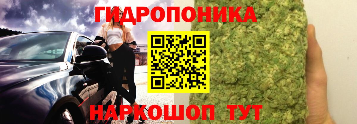 Бошки марихуана гибрид  Шишки марихуана конопля  Старая Русса  Вход с VPN 